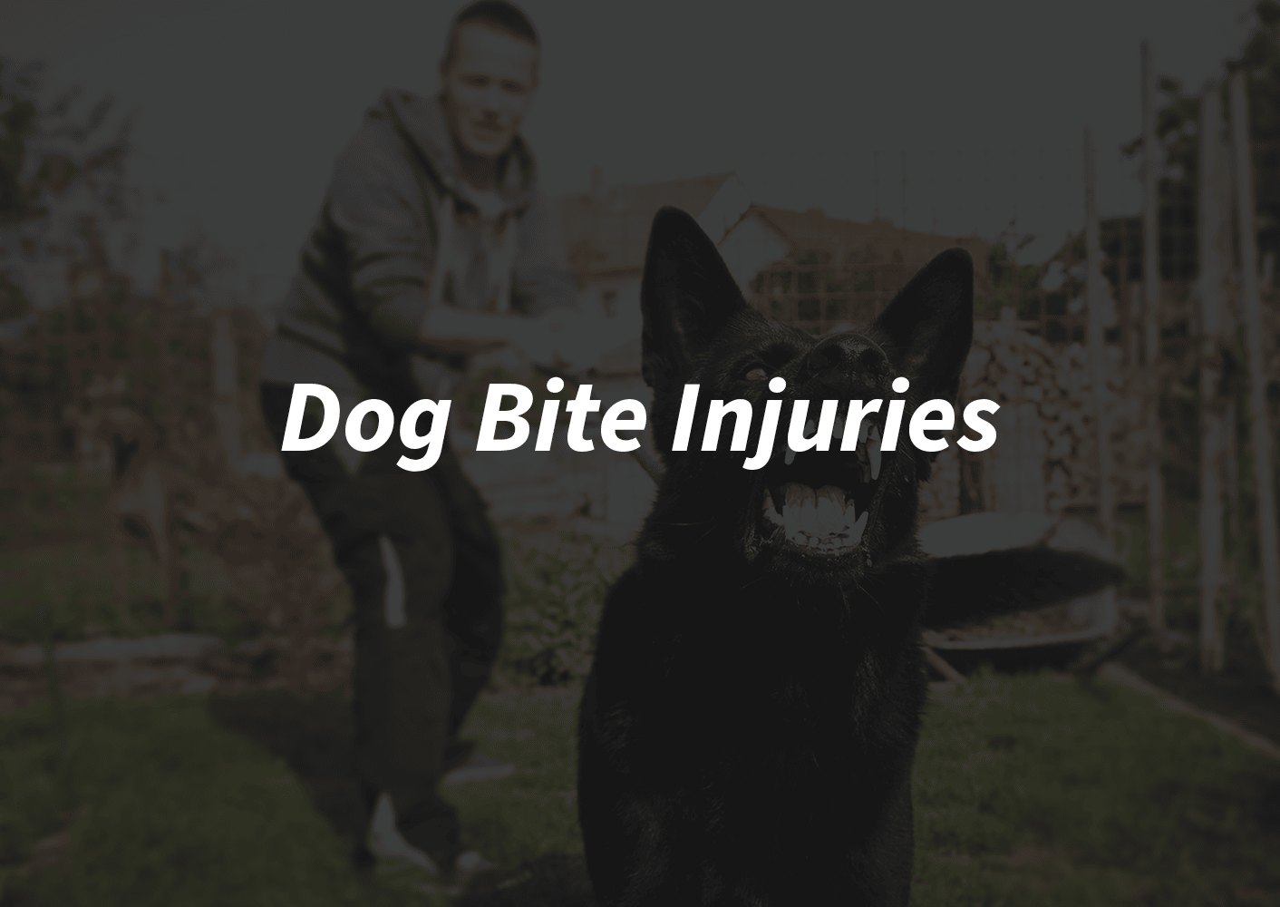 Dog Bite Injury