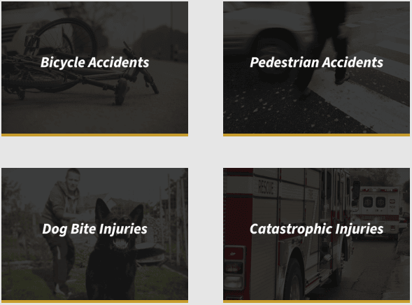 Bike Accident, Pedestrian Accident, Dog Bite Injury, Catastrophic Injuries